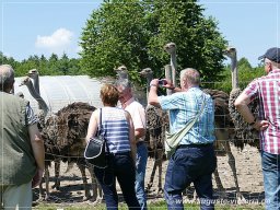 Mitgliederfahrt_2018